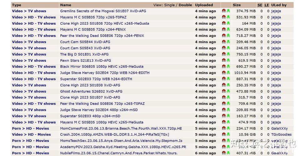 全面解析BT磁力连接搜索引擎的功能与优势 全面解析BT磁力连接搜索引擎的功能与优势